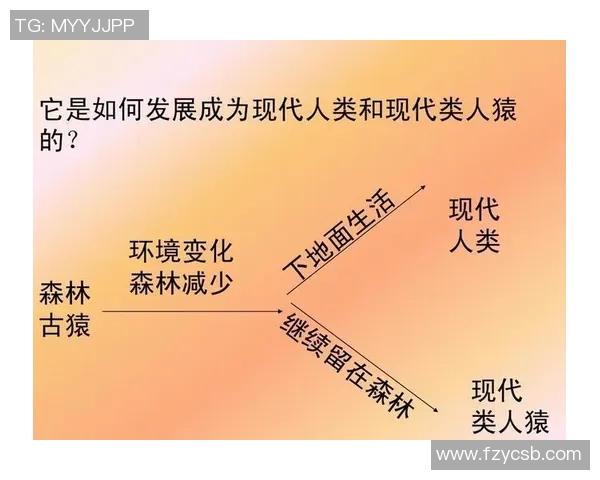 世界足球史的辉煌与挑战：从起源到现代的演变与影响